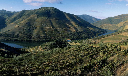 Vinho Verde